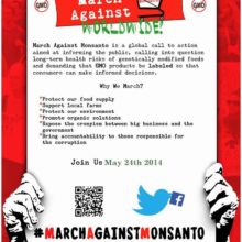 March Against Monsanto Flyer – May 2014