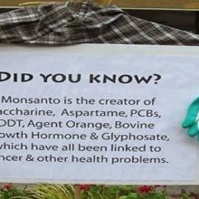 Monsanto’s Chemical Weapon & Your Food