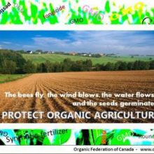 Organic Farmers Demand USDA Intervention Over GMO Contamination
