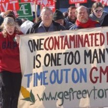 Monsanto Threatening to Take State of Vermont to Court over GMO labeling Laws