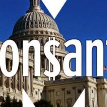 Monsanto: Preventing GMO Labeling At Any Cost