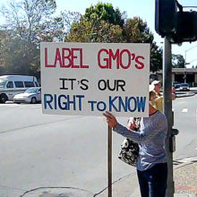 Money Or Morals-Which Will Prevail In Labeling Initiatives This Fall?