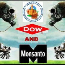EPA Defies Public Concern, Approves “Agent Orange” Herbicide