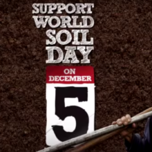 World Soil Day Fast Approaching: Why We Need Organic Agriculture More Than Ever