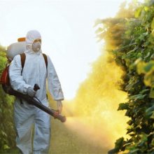 If You Think Monsanto’s Roundup Is Harmless, Read This.