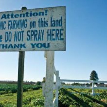 New Record! U.S. Organic Farmland Hits Highest Amount of Acres Ever in 2016