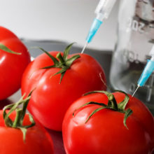 Scientists Develop New Pesticide-Producing GMO Tomato Designed to Kill Caterpillars in One Day