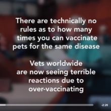 Pet Vaccines: When Helpful Becomes Harmful